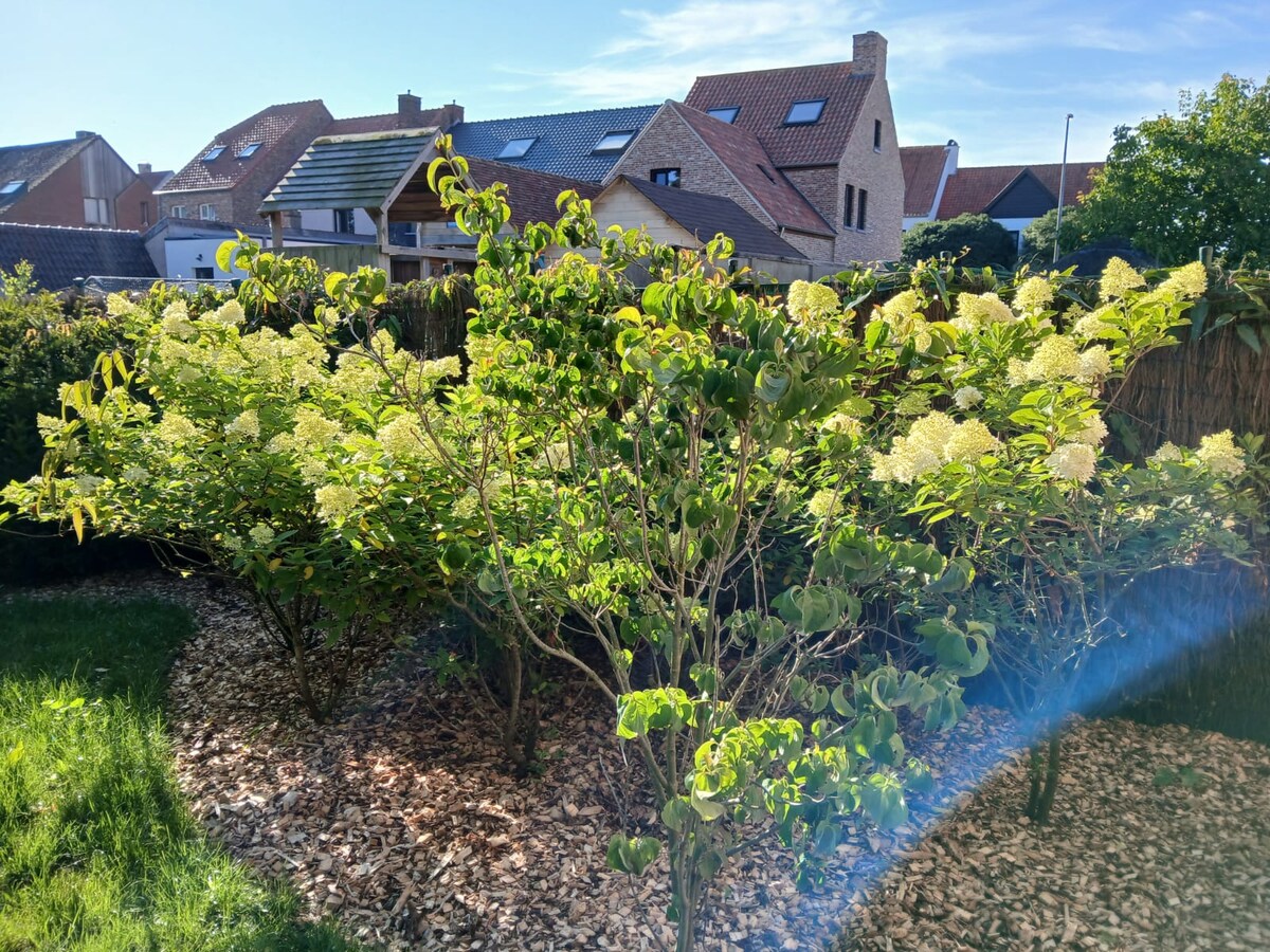 Groene tuinruimte at The Jacob House